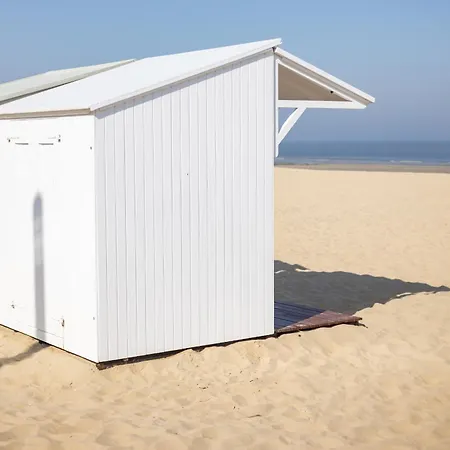 Wellington Iii J1 Daire *